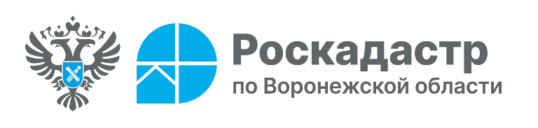 Роскадастр ответил на популярные вопросы воронежцев о выписках из ЕГРН.