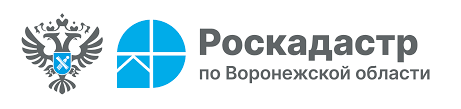 Роскадастр по Воронежской области информирует.