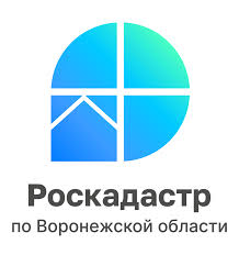 Информация о деятельности филиала публично-правовой компании «Роскадастр» по Воронежской области.