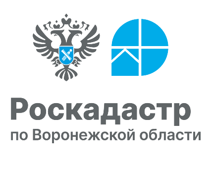 Воронежцы узнают о способах получения землеустроительной документации. Воронежцы узнают о способах получения землеустроительной документации.